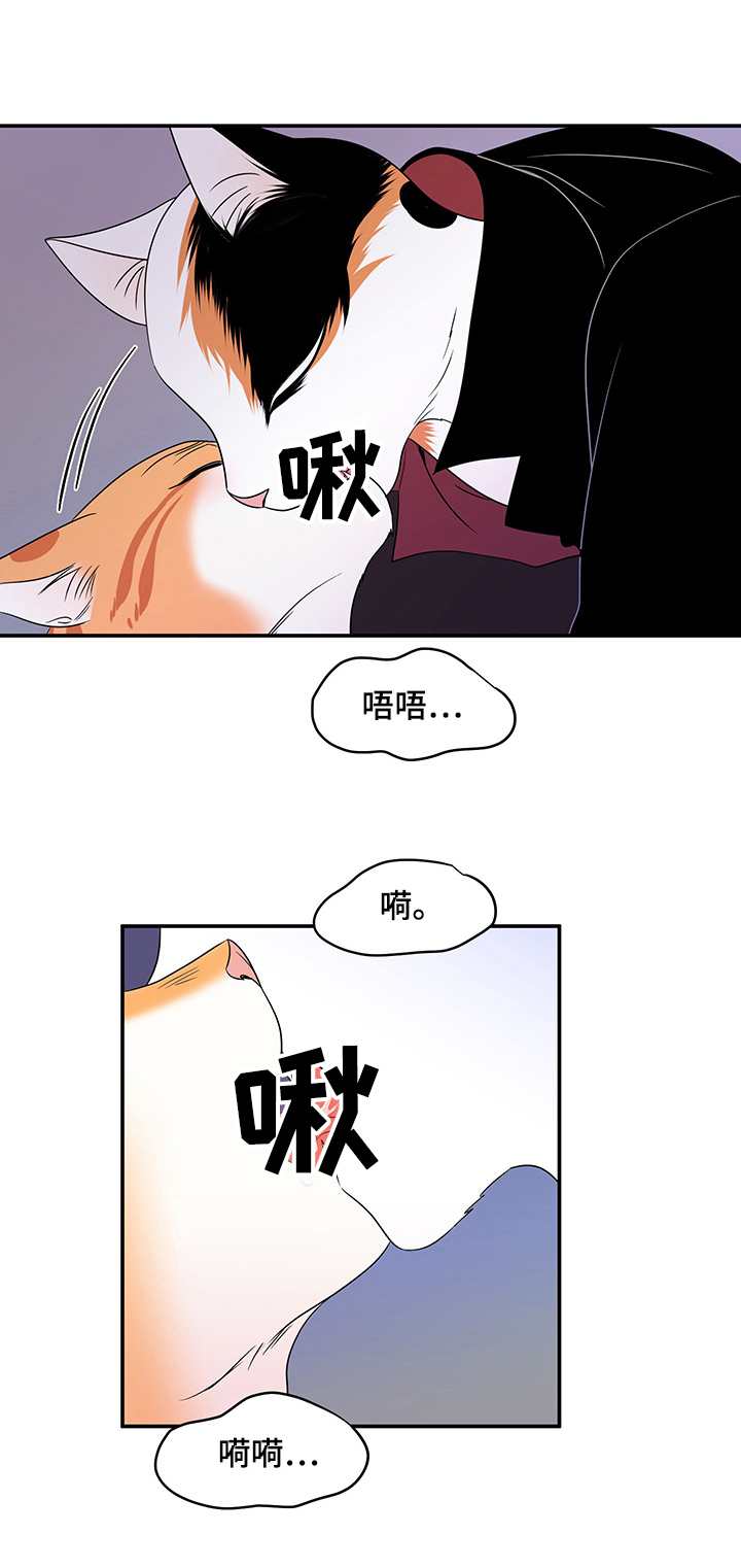 《灵猫欧米伽》漫画最新章节第3章：送抱免费下拉式在线观看章节第【2】张图片