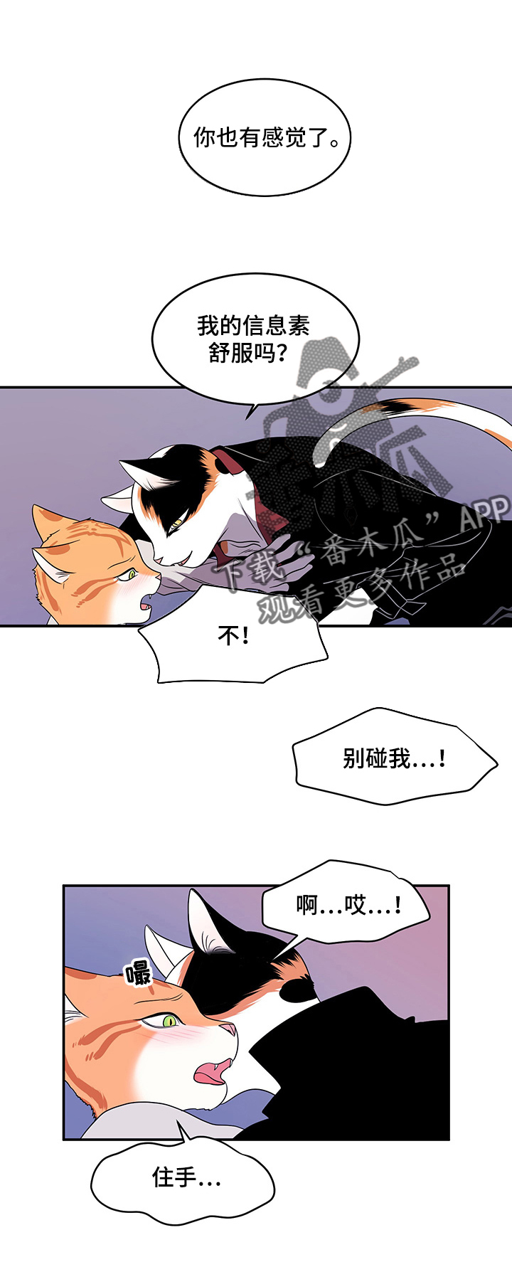 《灵猫欧米伽》漫画最新章节第3章：送抱免费下拉式在线观看章节第【3】张图片