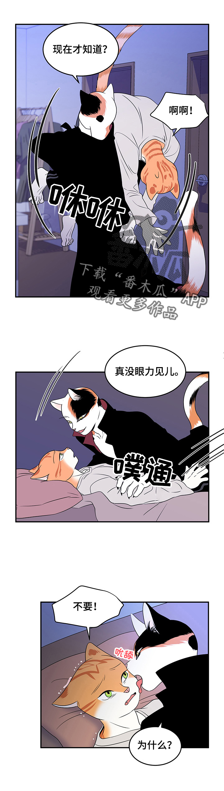 《灵猫欧米伽》漫画最新章节第3章：送抱免费下拉式在线观看章节第【4】张图片