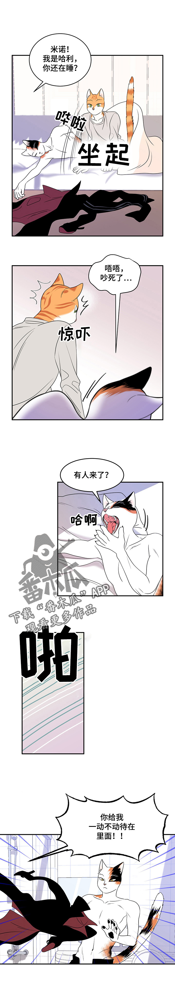 《灵猫欧米伽》漫画最新章节第4章：讨厌我免费下拉式在线观看章节第【4】张图片