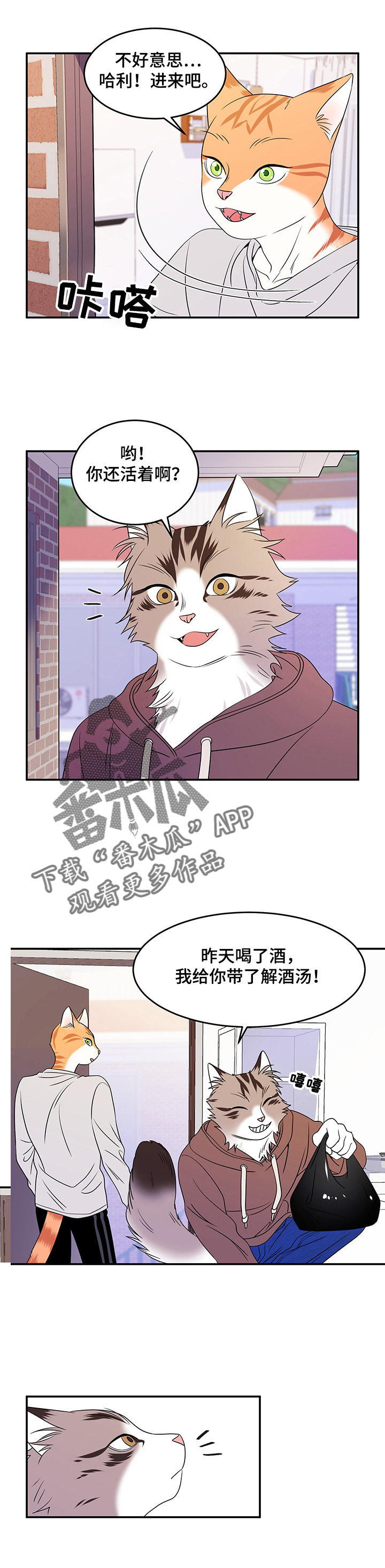 《灵猫欧米伽》漫画最新章节第4章：讨厌我免费下拉式在线观看章节第【2】张图片