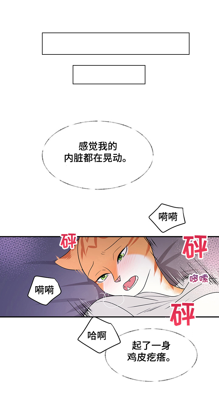 《灵猫欧米伽》漫画最新章节第4章：讨厌我免费下拉式在线观看章节第【6】张图片