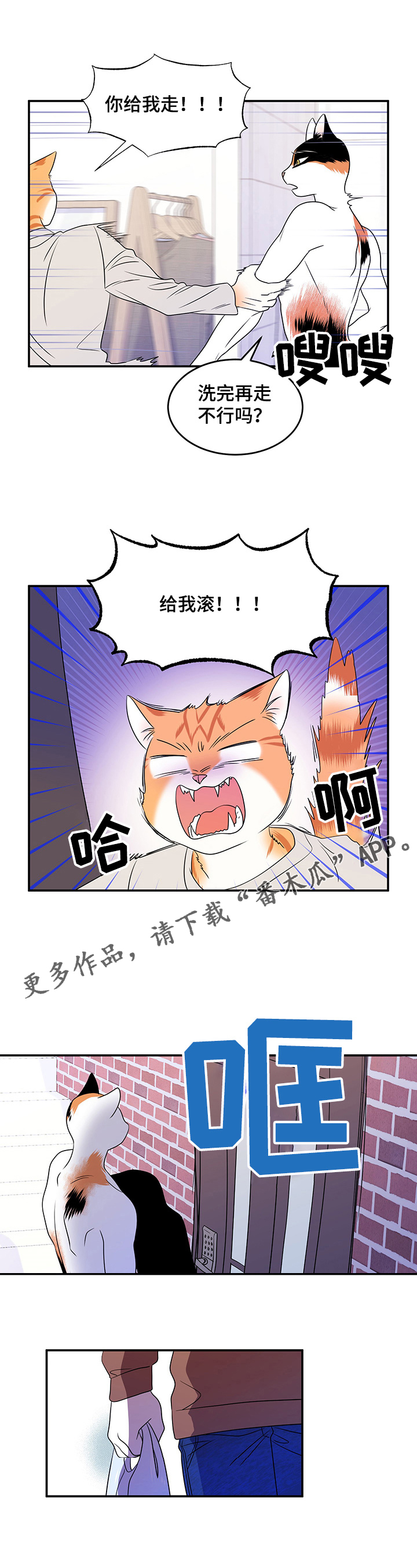 《灵猫欧米伽》漫画最新章节第5章：给我滚免费下拉式在线观看章节第【5】张图片