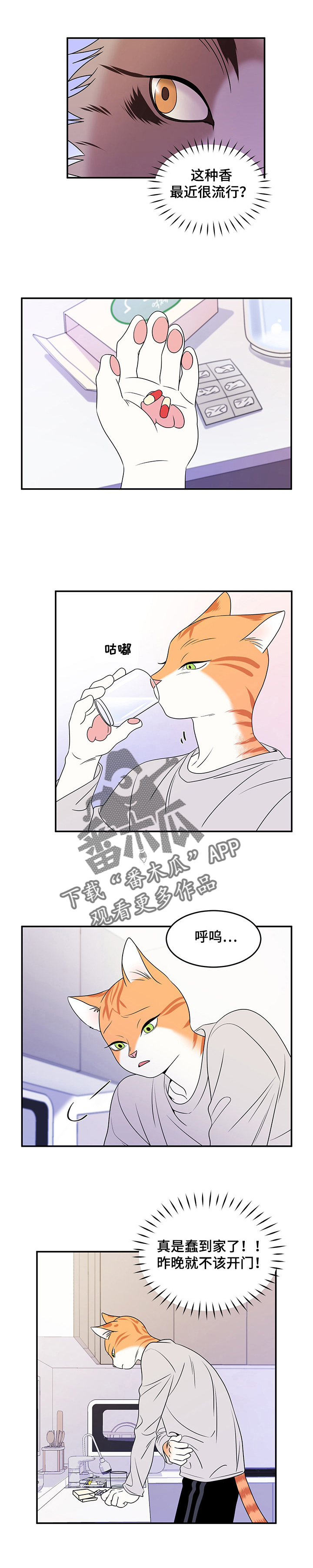 《灵猫欧米伽》漫画最新章节第5章：给我滚免费下拉式在线观看章节第【3】张图片