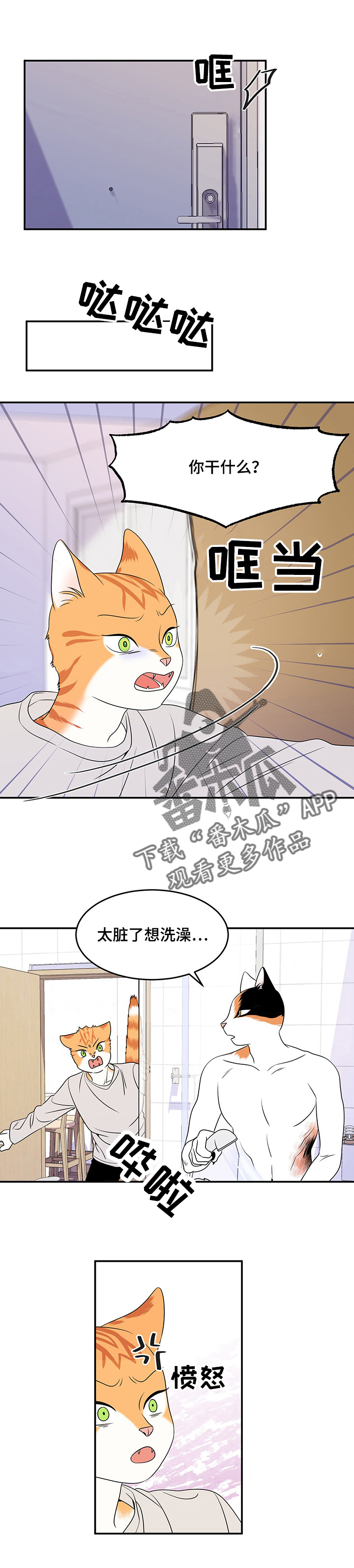 《灵猫欧米伽》漫画最新章节第5章：给我滚免费下拉式在线观看章节第【6】张图片