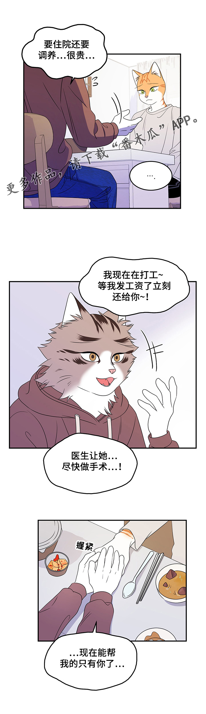 《灵猫欧米伽》漫画最新章节第6章：借钱免费下拉式在线观看章节第【5】张图片