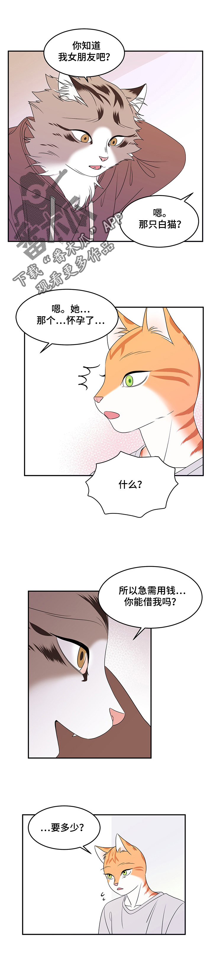 《灵猫欧米伽》漫画最新章节第6章：借钱免费下拉式在线观看章节第【6】张图片