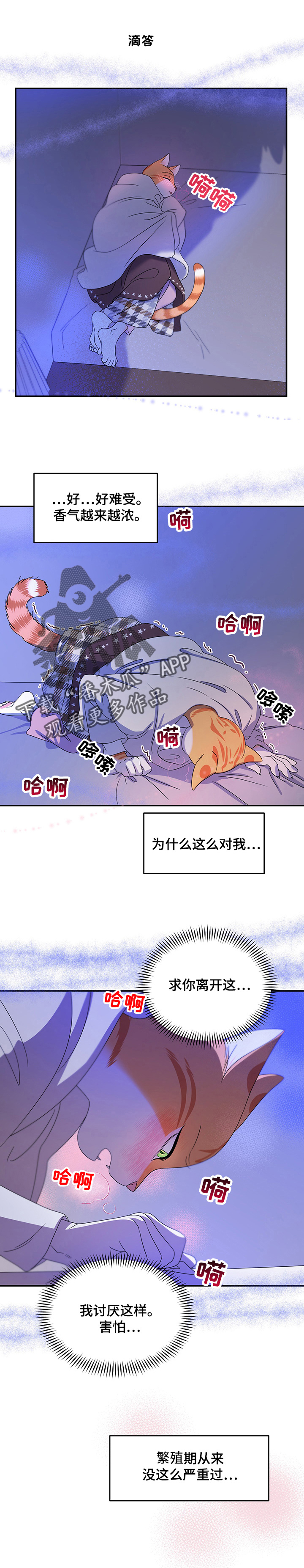 《灵猫欧米伽》漫画最新章节第7章：又来免费下拉式在线观看章节第【7】张图片