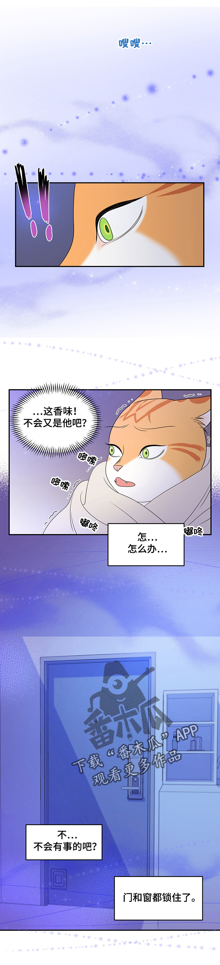 《灵猫欧米伽》漫画最新章节第7章：又来免费下拉式在线观看章节第【9】张图片