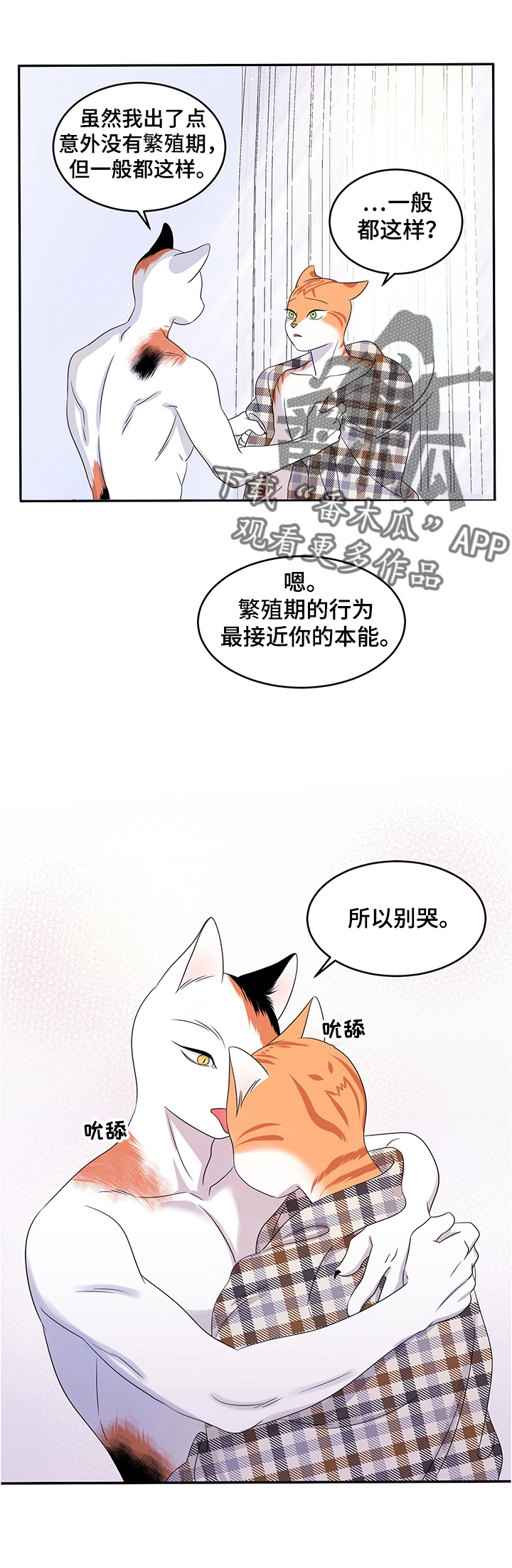 《灵猫欧米伽》漫画最新章节第8章：你醒了免费下拉式在线观看章节第【8】张图片