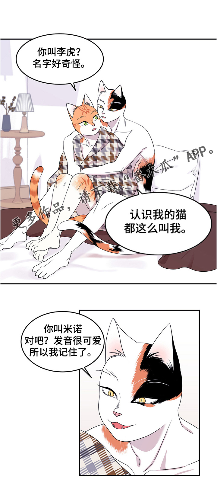 《灵猫欧米伽》漫画最新章节第8章：你醒了免费下拉式在线观看章节第【6】张图片