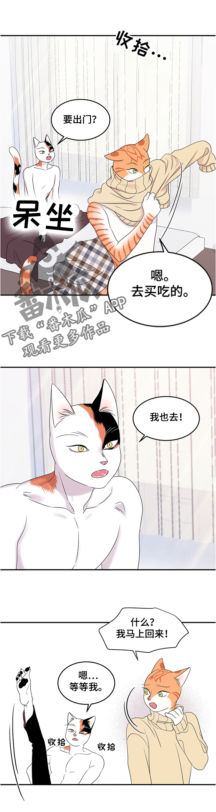 《灵猫欧米伽》漫画最新章节第8章：你醒了免费下拉式在线观看章节第【4】张图片