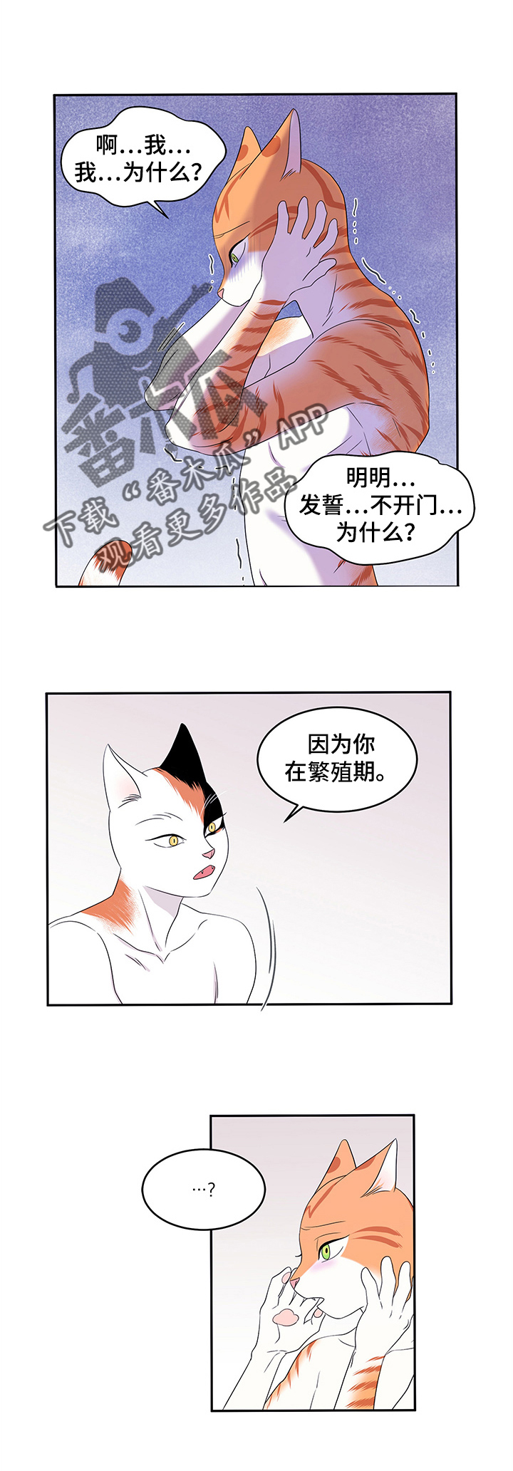 《灵猫欧米伽》漫画最新章节第8章：你醒了免费下拉式在线观看章节第【9】张图片