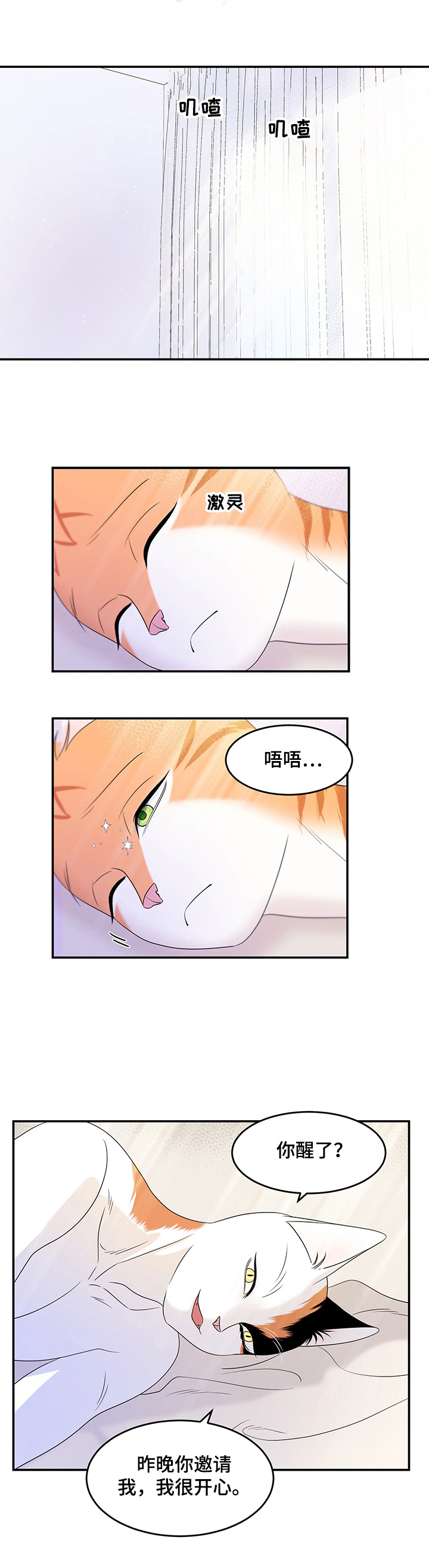 《灵猫欧米伽》漫画最新章节第8章：你醒了免费下拉式在线观看章节第【11】张图片