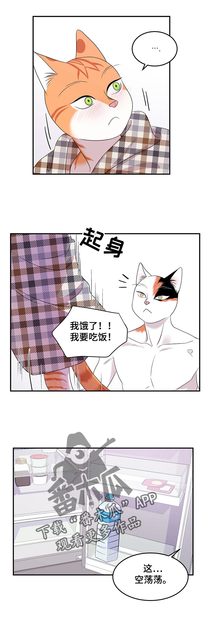 《灵猫欧米伽》漫画最新章节第8章：你醒了免费下拉式在线观看章节第【5】张图片