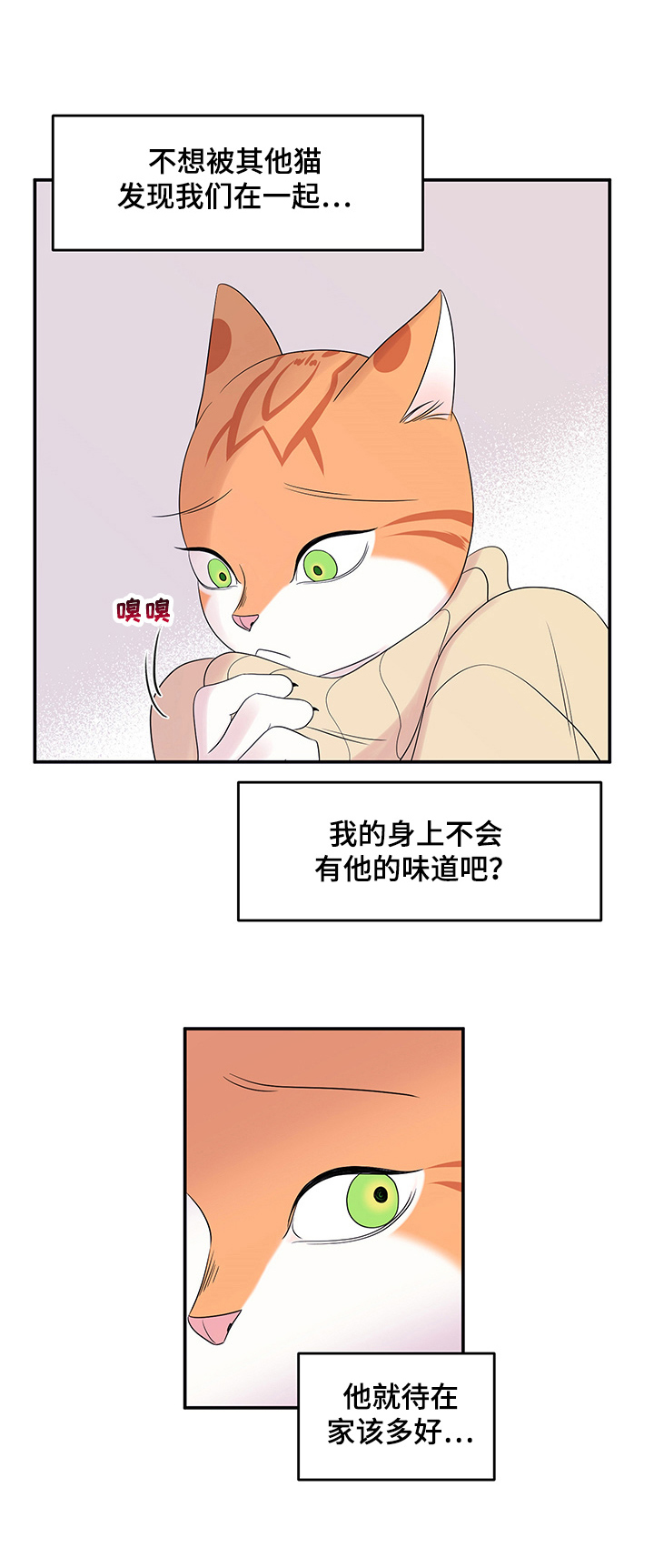 《灵猫欧米伽》漫画最新章节第8章：你醒了免费下拉式在线观看章节第【3】张图片