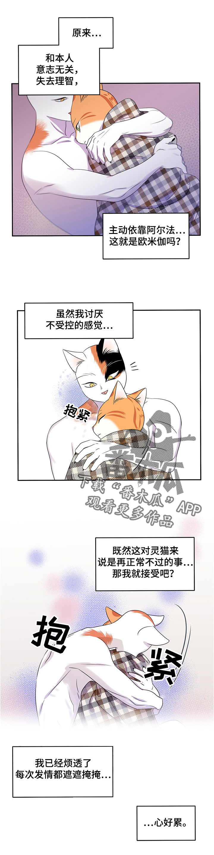 《灵猫欧米伽》漫画最新章节第8章：你醒了免费下拉式在线观看章节第【7】张图片