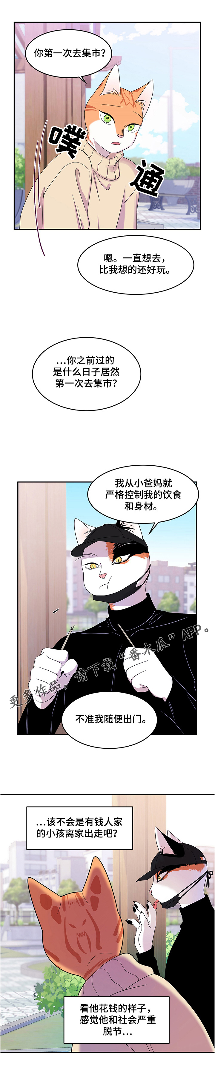 《灵猫欧米伽》漫画最新章节第9章：集市免费下拉式在线观看章节第【1】张图片