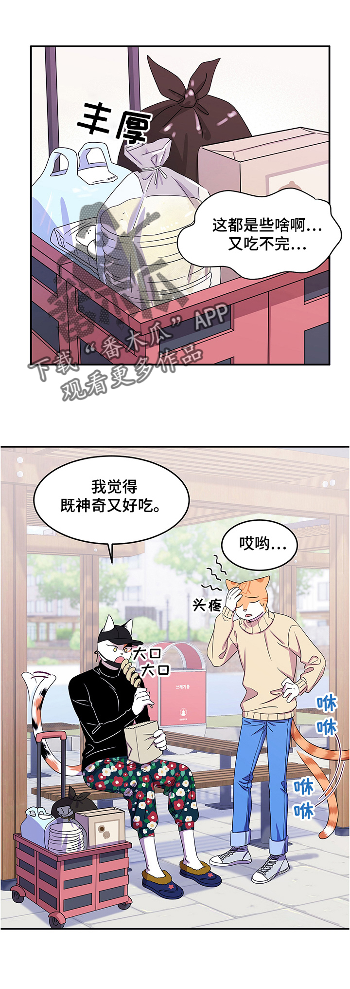 《灵猫欧米伽》漫画最新章节第9章：集市免费下拉式在线观看章节第【2】张图片