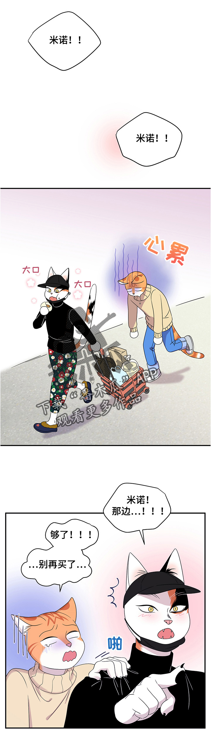 《灵猫欧米伽》漫画最新章节第9章：集市免费下拉式在线观看章节第【3】张图片