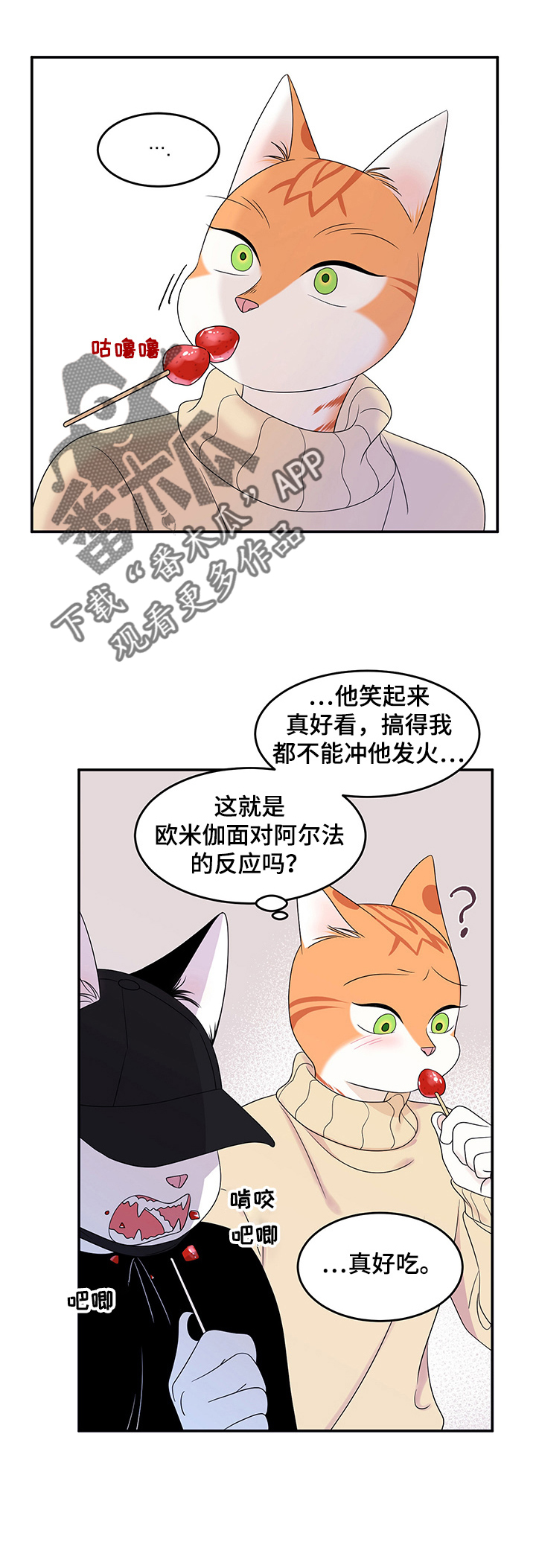 《灵猫欧米伽》漫画最新章节第9章：集市免费下拉式在线观看章节第【6】张图片