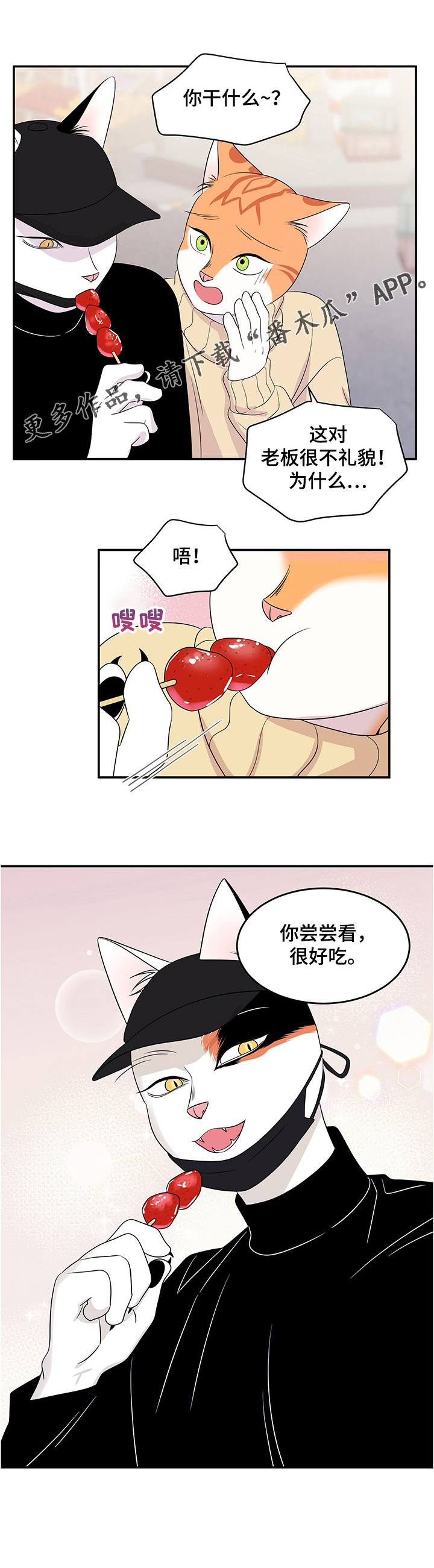 《灵猫欧米伽》漫画最新章节第9章：集市免费下拉式在线观看章节第【7】张图片