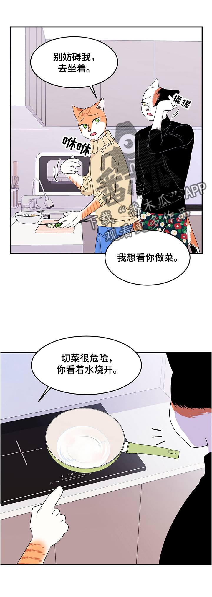 《灵猫欧米伽》漫画最新章节第10章：期待免费下拉式在线观看章节第【5】张图片