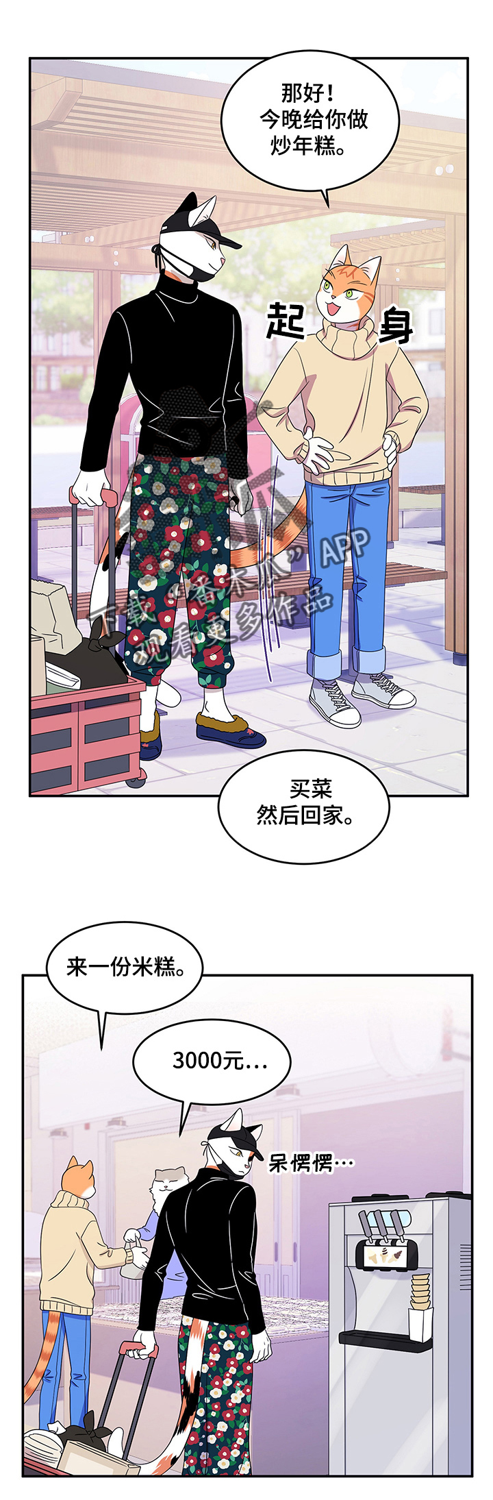 《灵猫欧米伽》漫画最新章节第10章：期待免费下拉式在线观看章节第【13】张图片