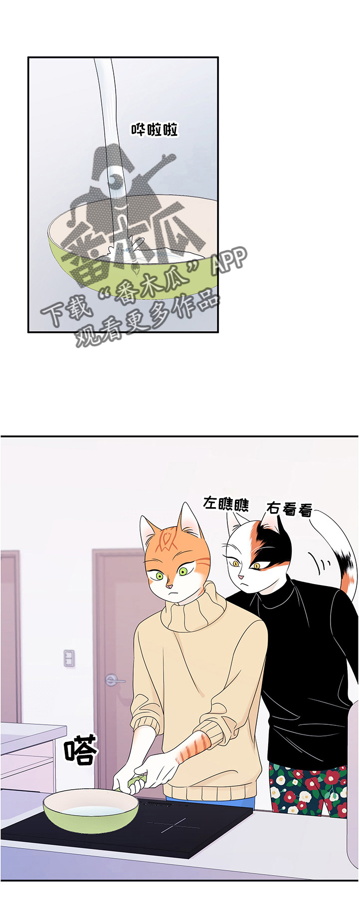 《灵猫欧米伽》漫画最新章节第10章：期待免费下拉式在线观看章节第【7】张图片