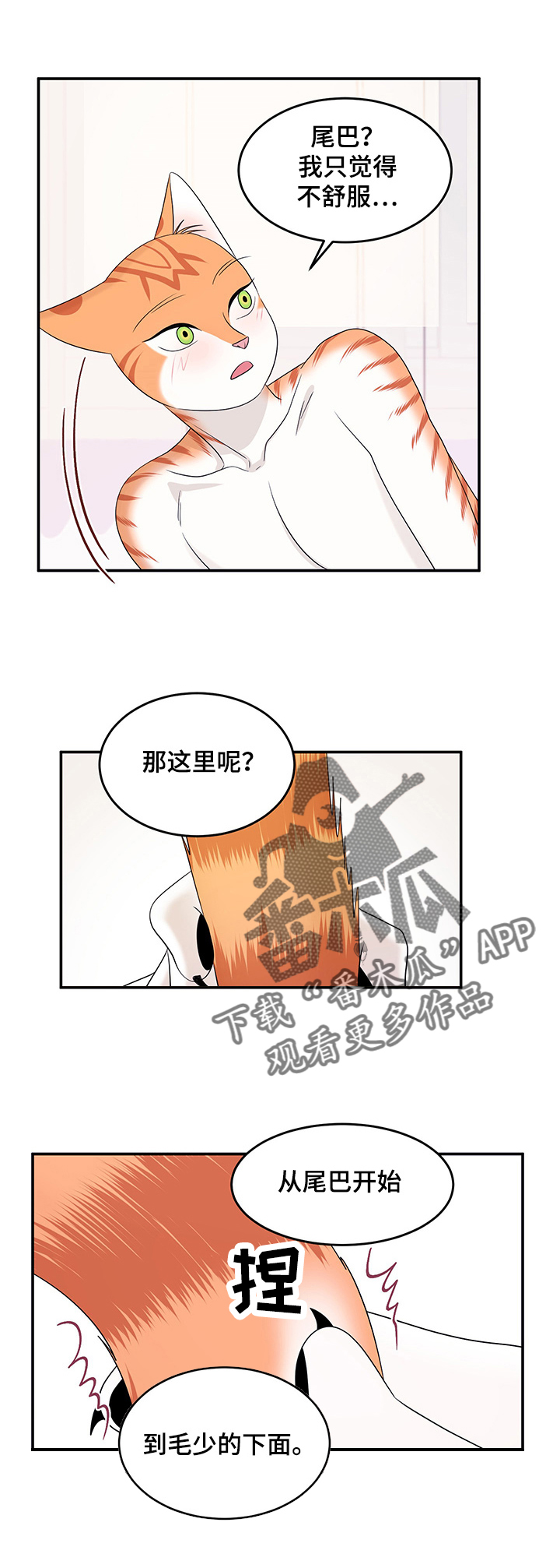 《灵猫欧米伽》漫画最新章节第12章：义务免费下拉式在线观看章节第【6】张图片