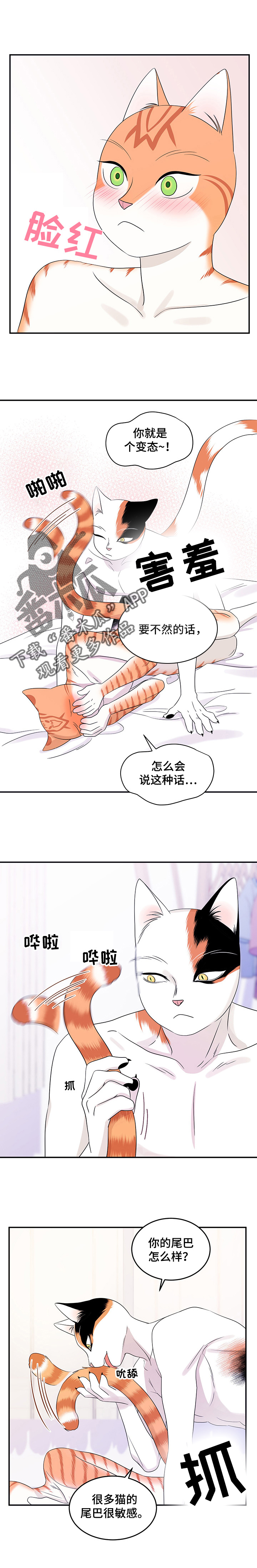 《灵猫欧米伽》漫画最新章节第12章：义务免费下拉式在线观看章节第【7】张图片