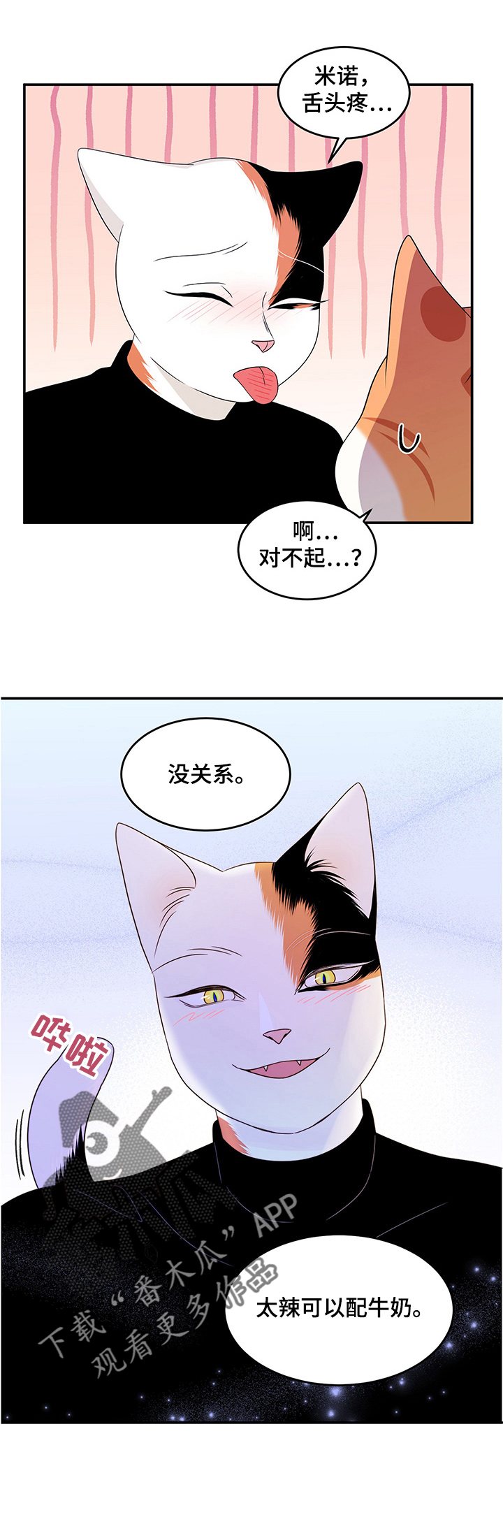 《灵猫欧米伽》漫画最新章节第12章：义务免费下拉式在线观看章节第【13】张图片