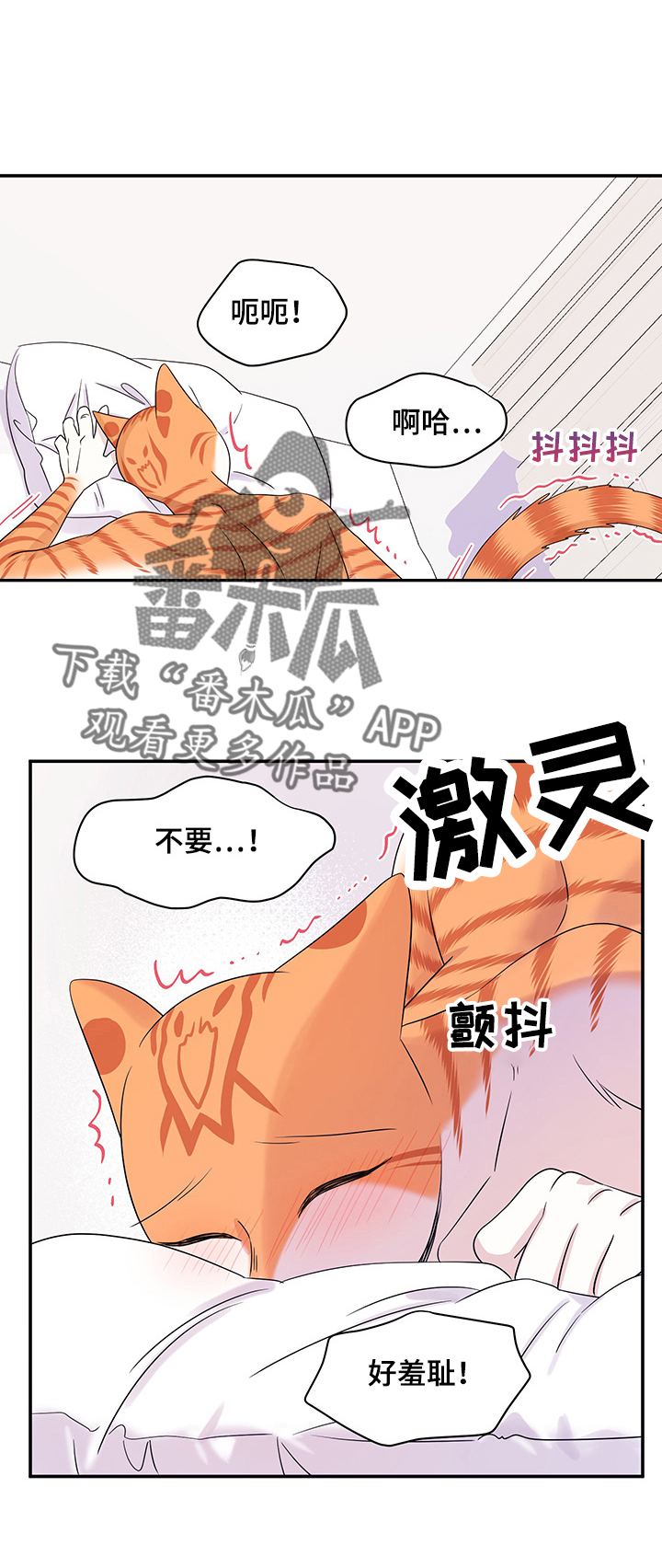 《灵猫欧米伽》漫画最新章节第12章：义务免费下拉式在线观看章节第【4】张图片