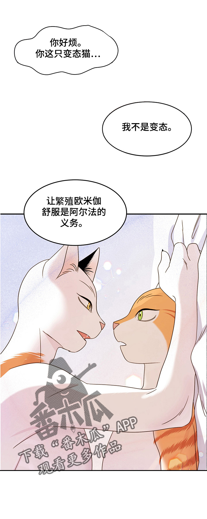 《灵猫欧米伽》漫画最新章节第12章：义务免费下拉式在线观看章节第【9】张图片