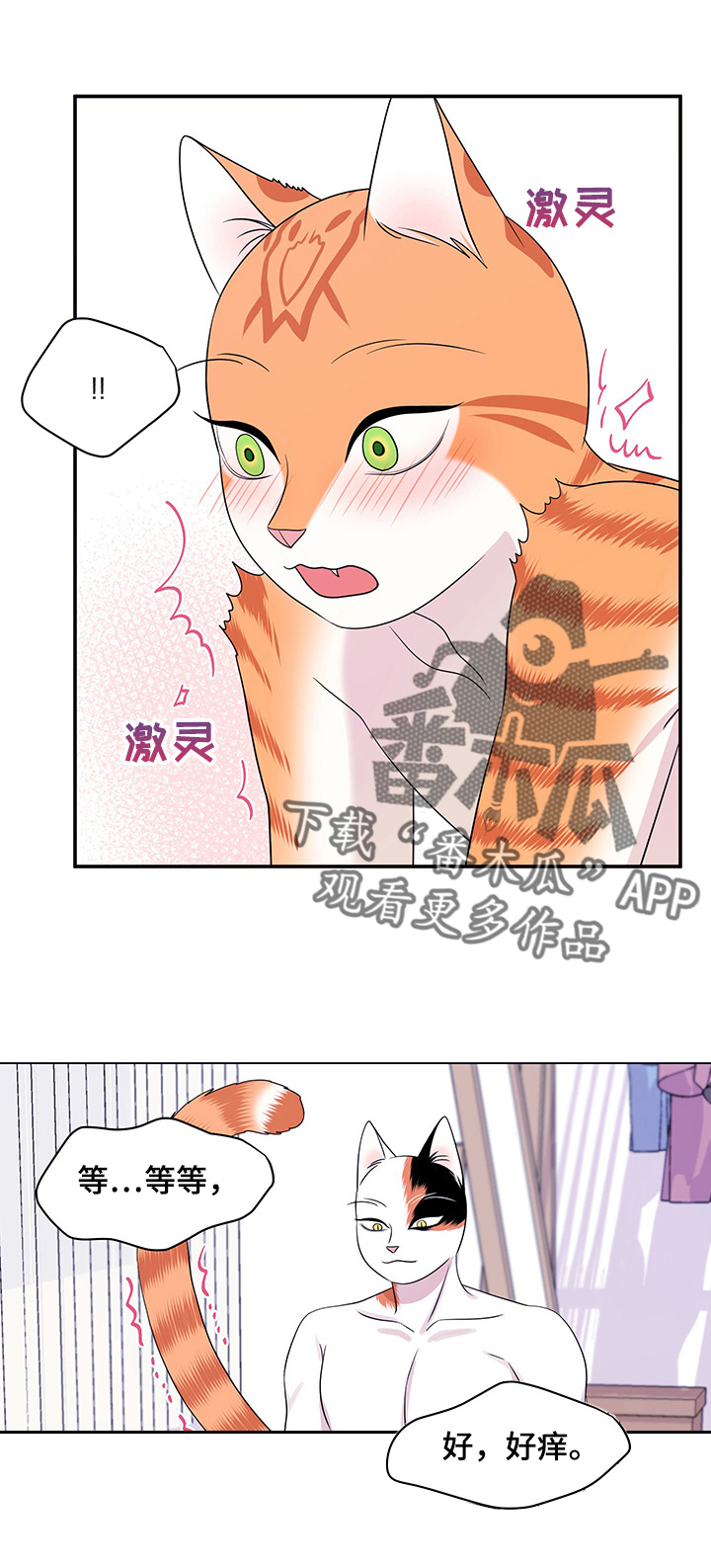 《灵猫欧米伽》漫画最新章节第12章：义务免费下拉式在线观看章节第【5】张图片