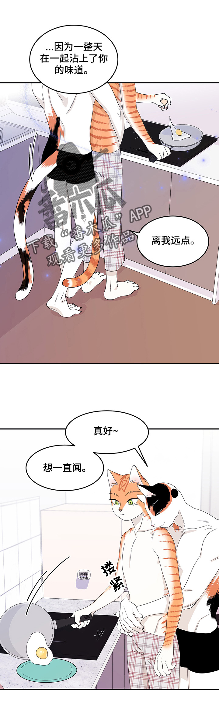 《灵猫欧米伽》漫画最新章节第14章：烧焦免费下拉式在线观看章节第【3】张图片