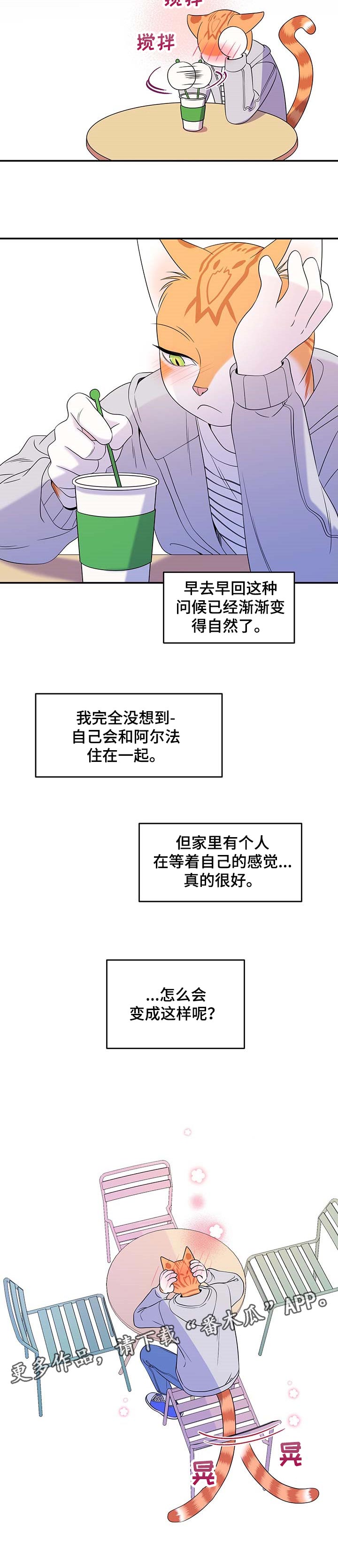 《灵猫欧米伽》漫画最新章节第17章：早去早回免费下拉式在线观看章节第【1】张图片