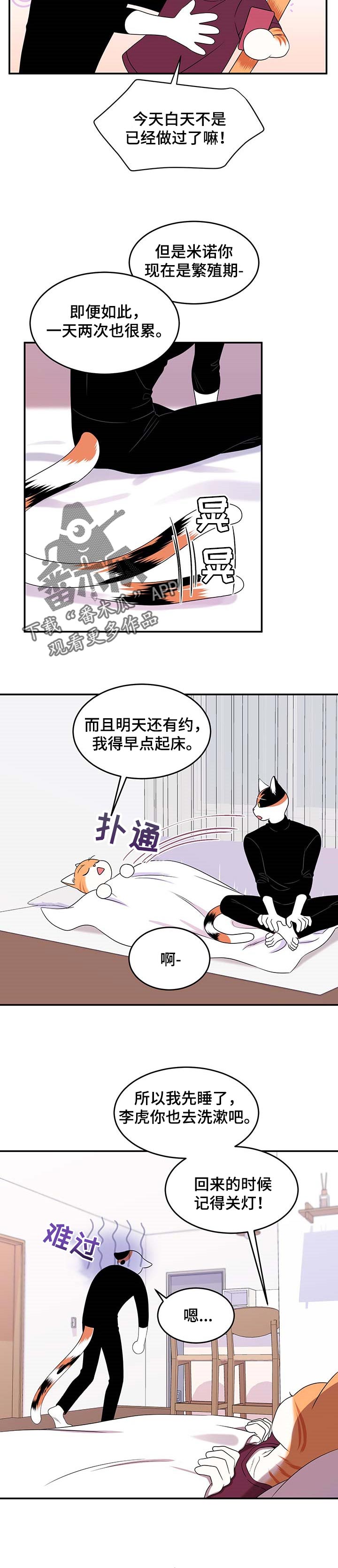 《灵猫欧米伽》漫画最新章节第17章：早去早回免费下拉式在线观看章节第【4】张图片