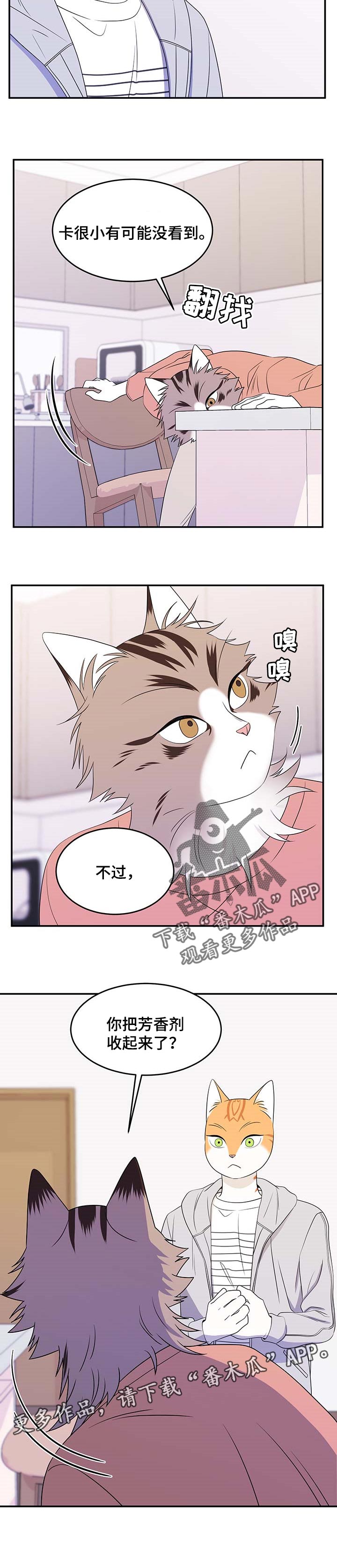 《灵猫欧米伽》漫画最新章节第18章：芳香剂免费下拉式在线观看章节第【1】张图片