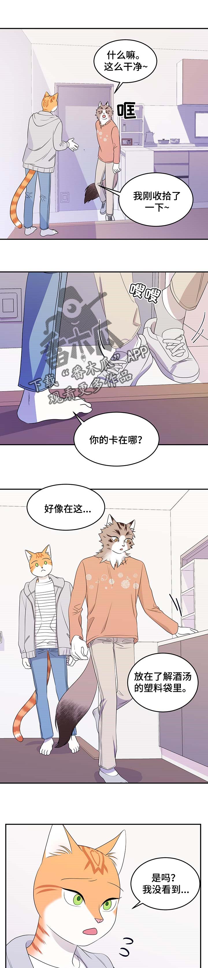 《灵猫欧米伽》漫画最新章节第18章：芳香剂免费下拉式在线观看章节第【2】张图片