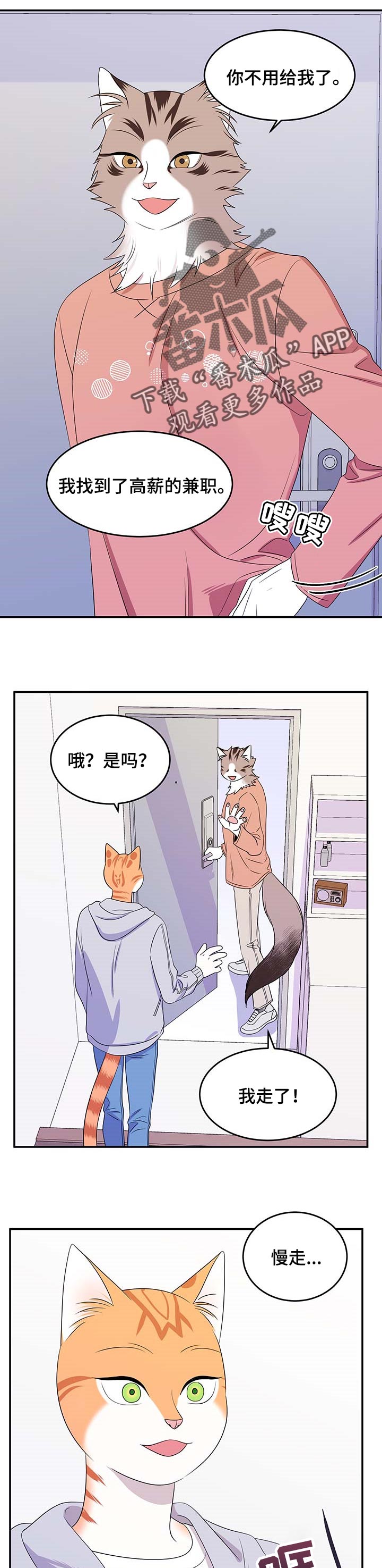 《灵猫欧米伽》漫画最新章节第19章：信息素免费下拉式在线观看章节第【3】张图片