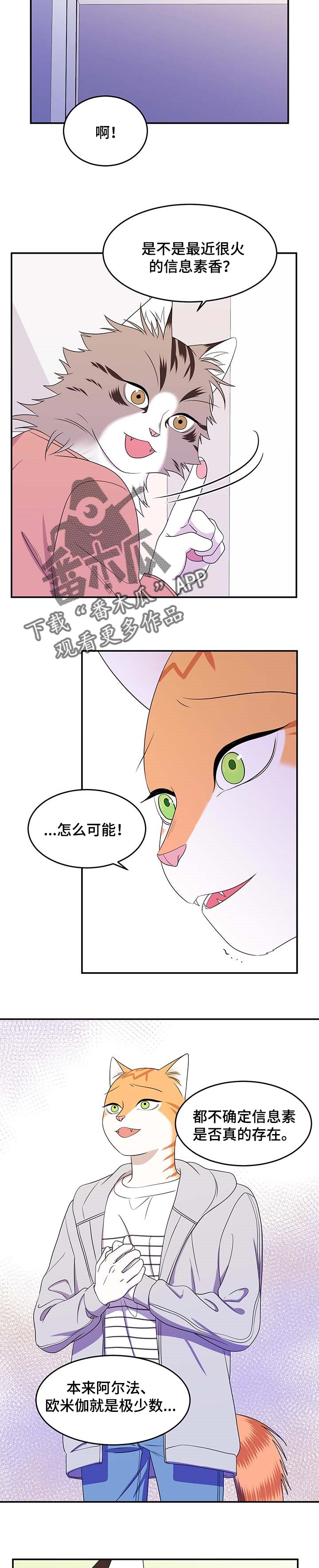 《灵猫欧米伽》漫画最新章节第19章：信息素免费下拉式在线观看章节第【8】张图片