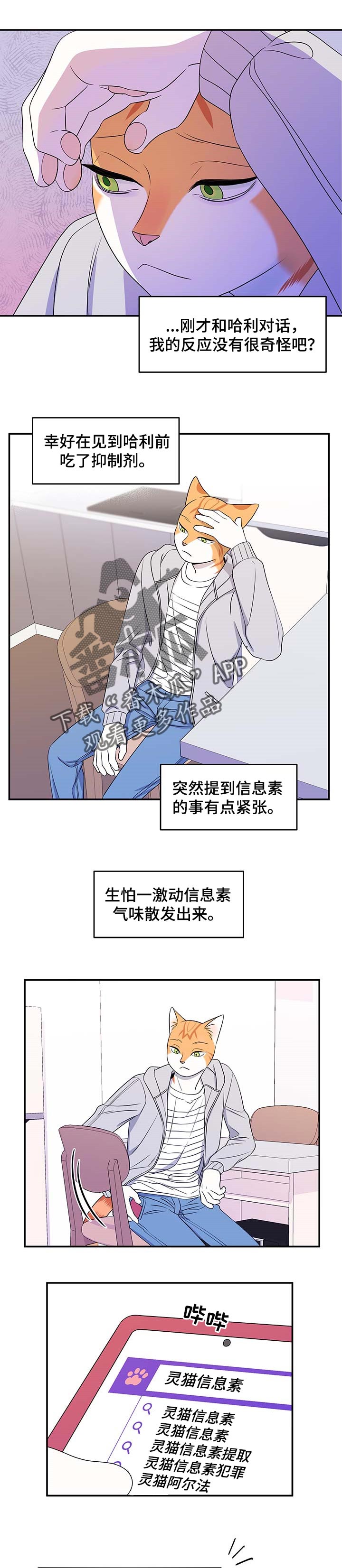 《灵猫欧米伽》漫画最新章节第20章：紧张免费下拉式在线观看章节第【7】张图片