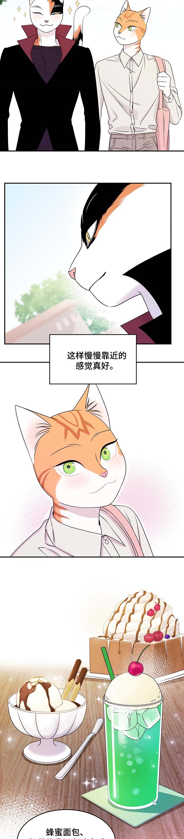 《灵猫欧米伽》漫画最新章节第22章：慢慢靠近免费下拉式在线观看章节第【6】张图片