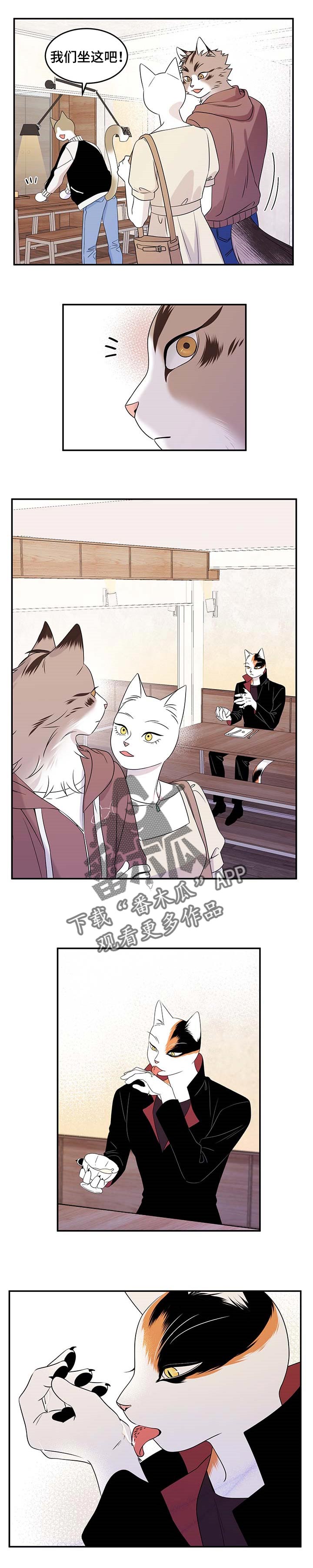 灵猫欧米伽-第23章：担心全彩韩漫标签
