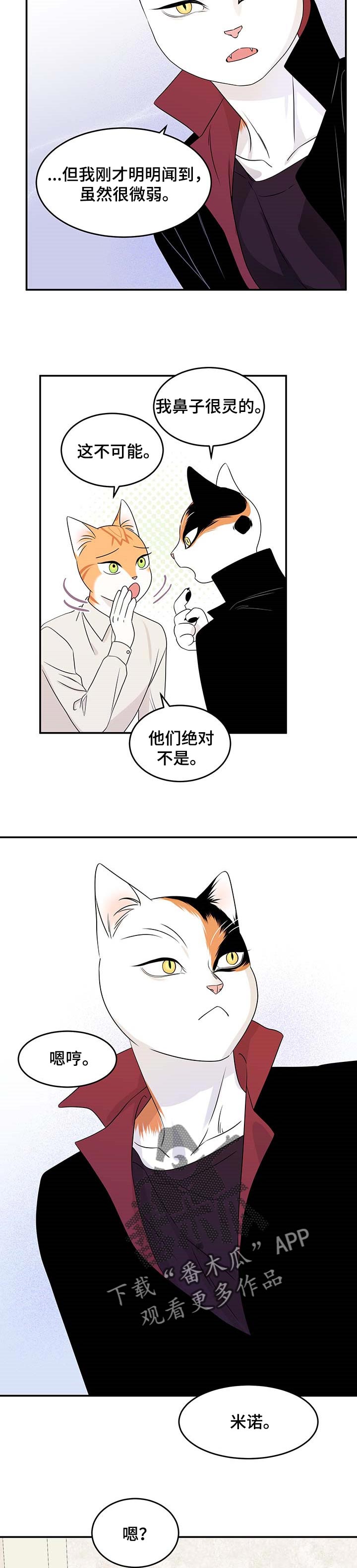 《灵猫欧米伽》漫画最新章节第24章：可惜免费下拉式在线观看章节第【7】张图片