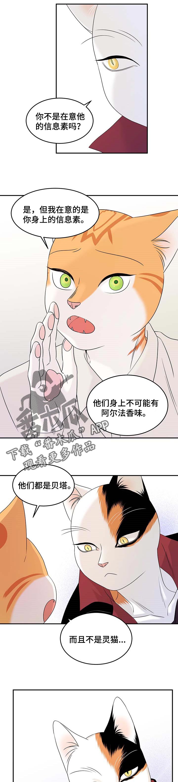 《灵猫欧米伽》漫画最新章节第24章：可惜免费下拉式在线观看章节第【8】张图片