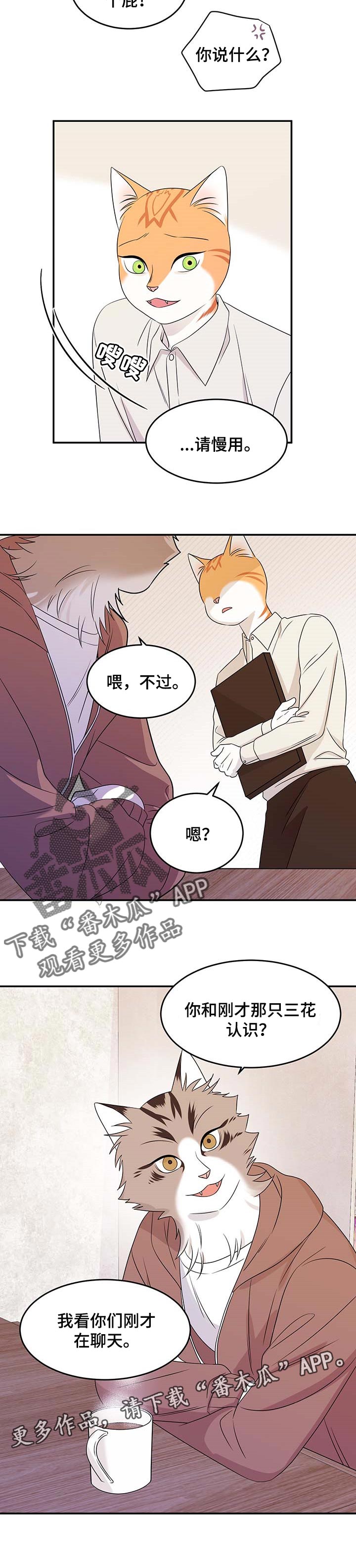 《灵猫欧米伽》漫画最新章节第24章：可惜免费下拉式在线观看章节第【1】张图片