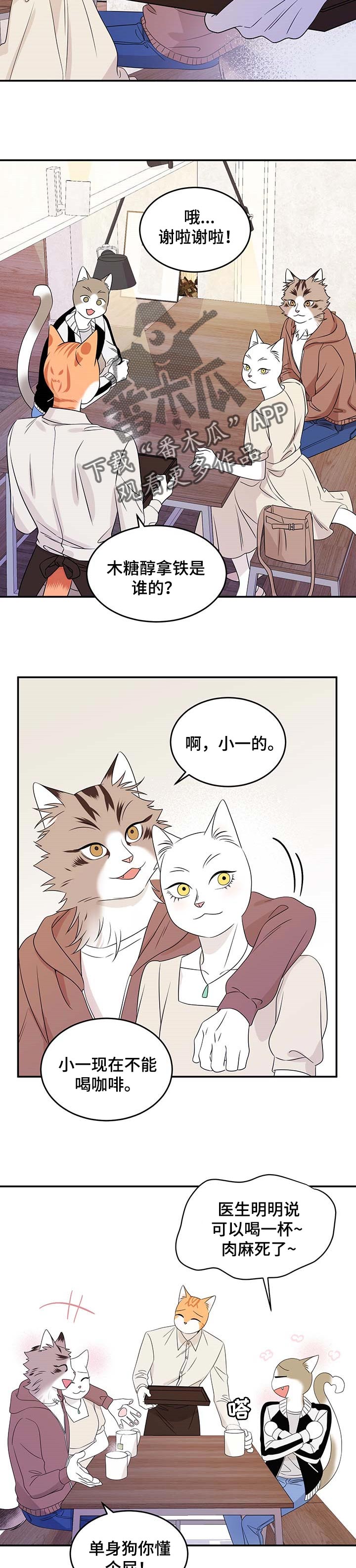 《灵猫欧米伽》漫画最新章节第24章：可惜免费下拉式在线观看章节第【2】张图片