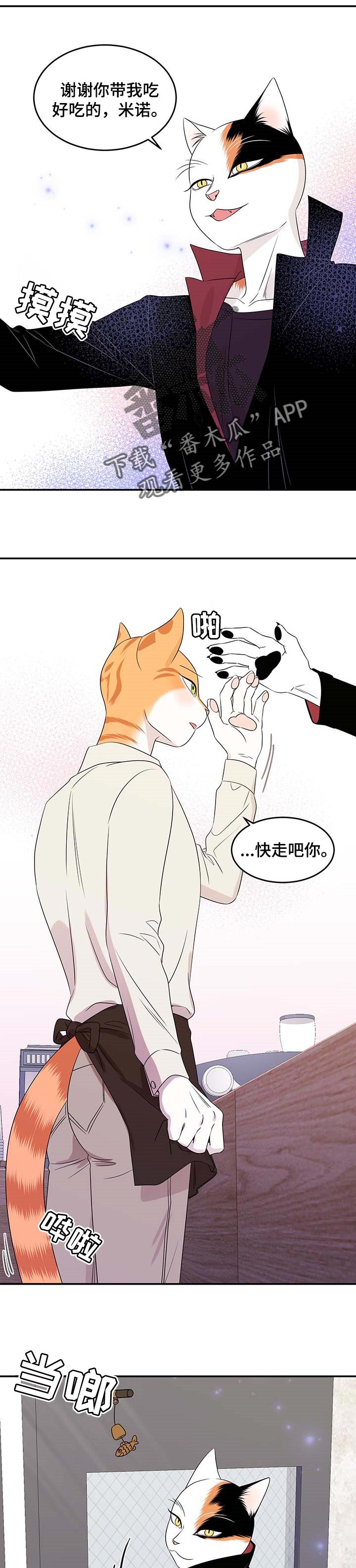 《灵猫欧米伽》漫画最新章节第24章：可惜免费下拉式在线观看章节第【4】张图片